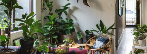 ¡Decora tu jardín de manera ecológica!