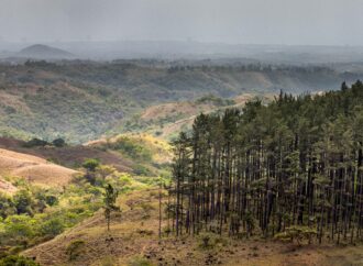 Valle de Antón en Panamá: Todo lo que necesitas saber